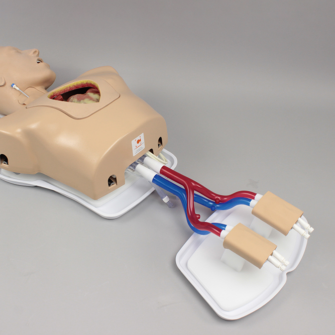 Модуль с бедренным доступом (Femoral Access Module)