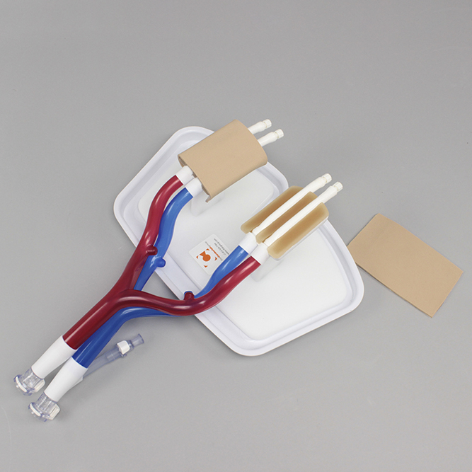 Модуль с бедренным доступом (Femoral Access Module) — изображение 2