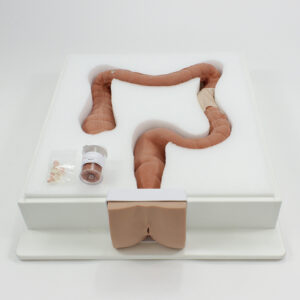 Тренажер для колоноскопии (Colonoscopy Trainer)