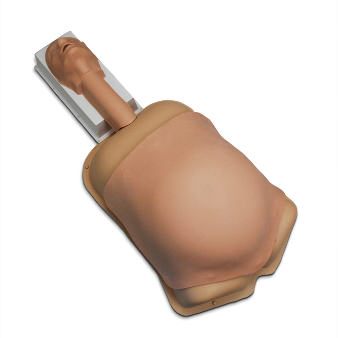 Тренажер для абдоминальной хирургии (Compact Abdominal Surgery Trainer )