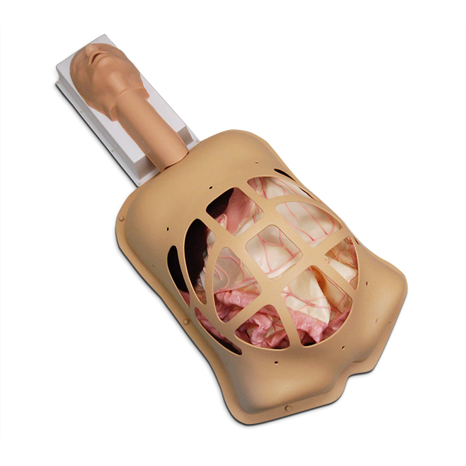 Тренажер для абдоминальной хирургии (Compact Abdominal Surgery Trainer ) — изображение 2