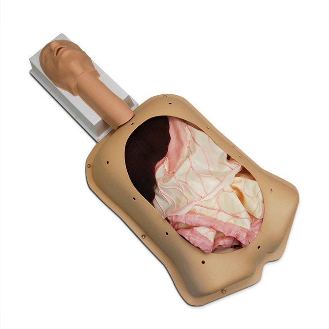 Тренажер для абдоминальной хирургии (Compact Abdominal Surgery Trainer ) — изображение 3