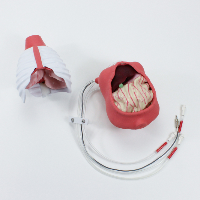 Общехирургический педиатрический модуль Sam Pediatric General Surgery Module — изображение 2