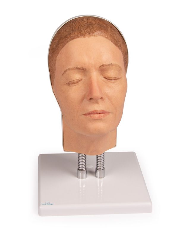 Голова для инъекций в лицо, версия А