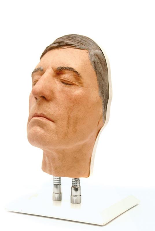 Голова для инъекций в лицо, версия D