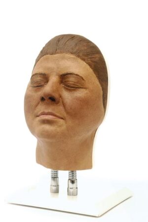 Голова для инъекций в лицо, версия F