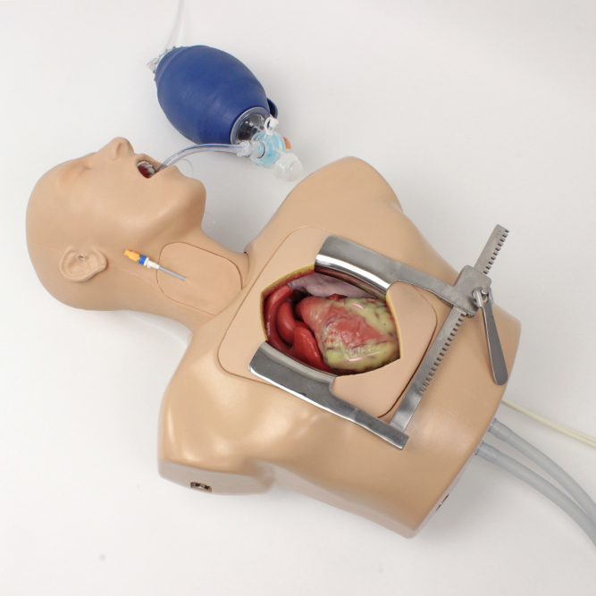 Усовершенствованный тренажер для ЭКМО/перфузии ECMO (Perfusion Team Trainer)