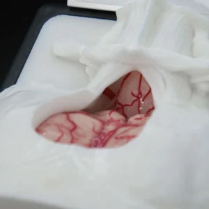 Усовершенствованный реалистичный нейрохирургический тренажер InterhemisphericBox