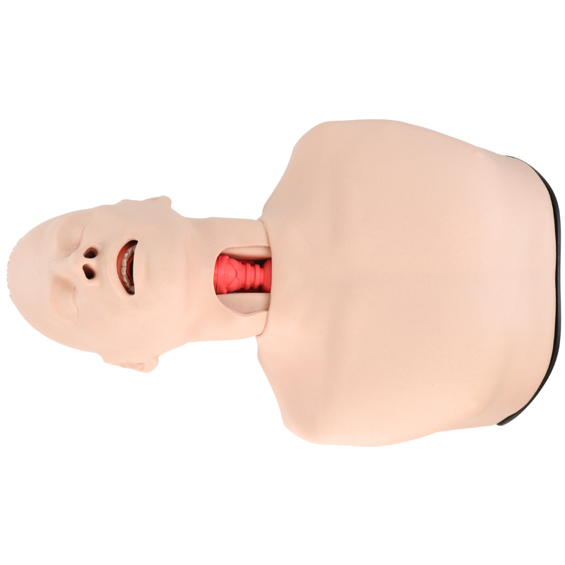 Фантом для отработки навыков искусственного дыхания (Smart Airway) — изображение 4