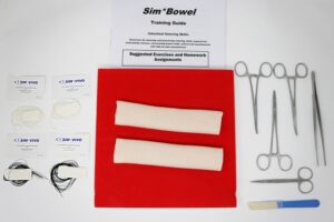 Кишечник (Sim*Bowel)