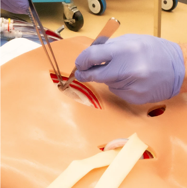 Модель грыжи — изображение 2