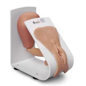 Система катетеризации, Женщина