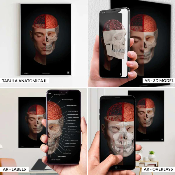 Коллекция из четырех анатомических 3D-плакатов, оснащенных системой дополненной реальности, AnatomyARt — изображение 2