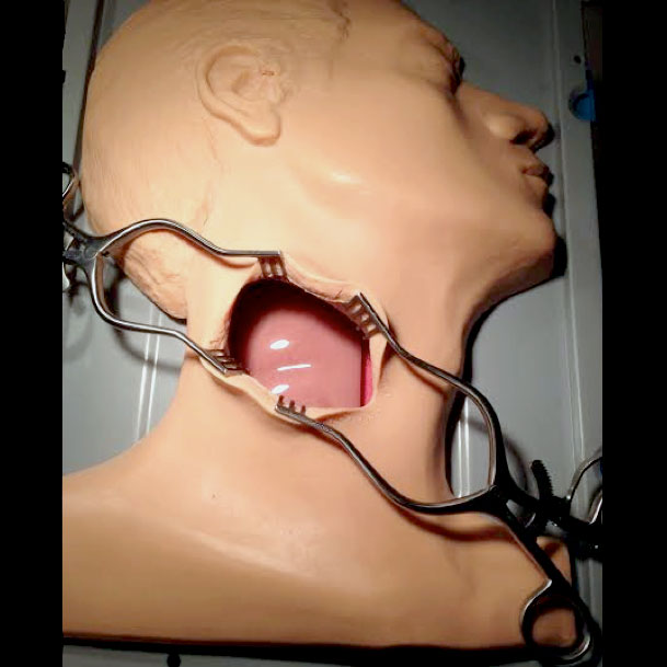 Симулятор головы с сонной артерией Vascular International Carotid Head Simulator