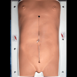 Брюшной тренажер для коррекции аневризмы брюшной аорты (АБОА) Vascular International AAA Abdomen