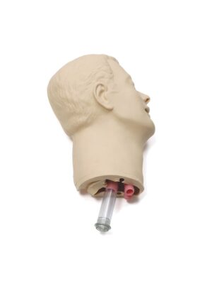 Голова с дыхательными путями и зубами для Airway Management Trainer