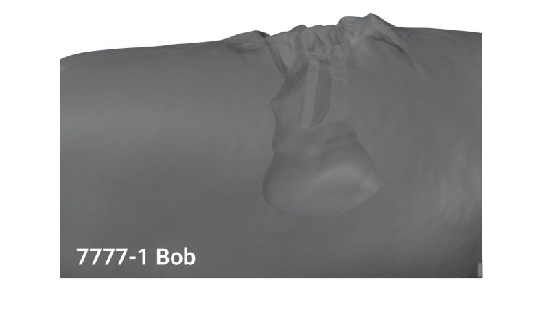 Тренажёр для тампонады ран «Bob» с прямой раной из набора — изображение 5