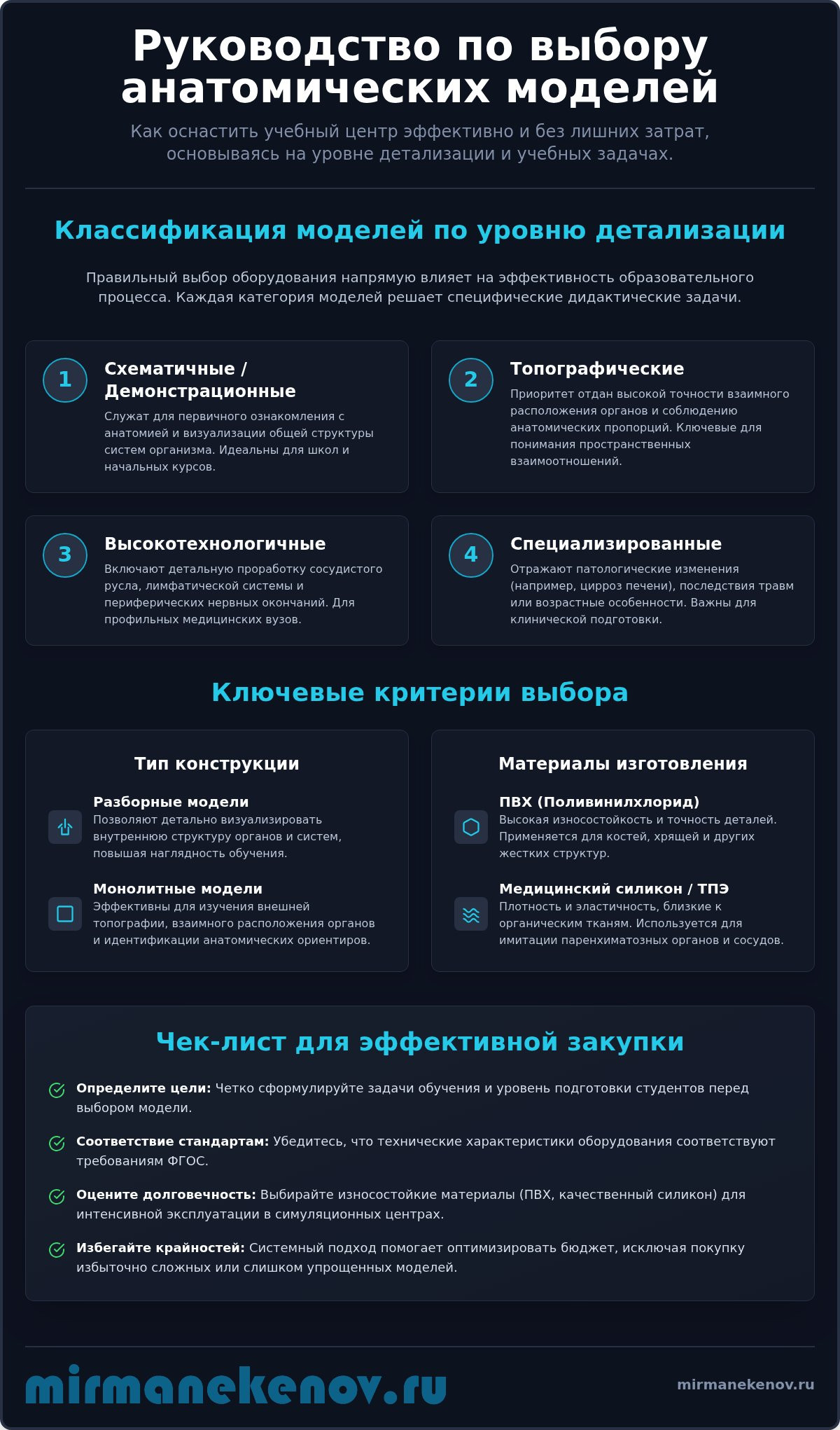 Анатомические модели органов человека: уровни детализации и критерии выбора