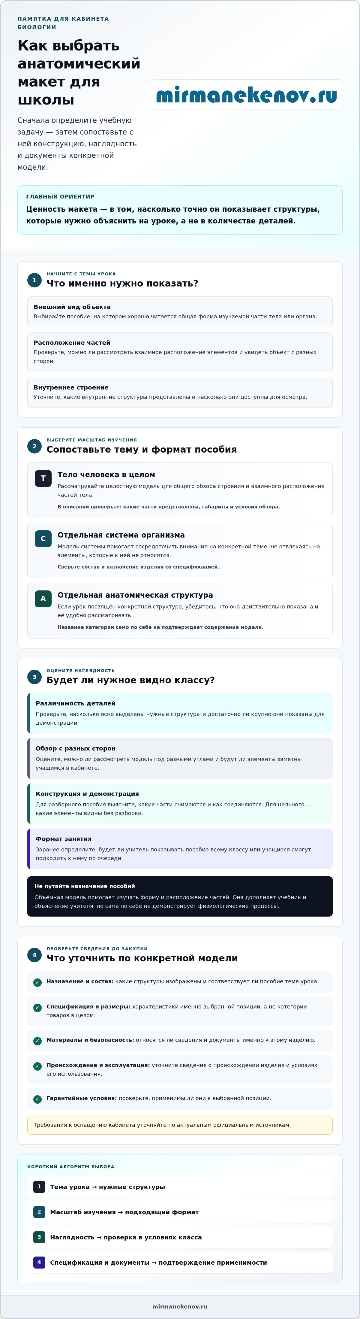 Анатомические макеты для школ: как выбрать наглядное пособие для уроков биологии